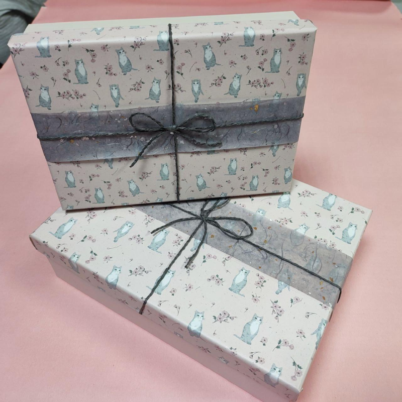 Коробка подарункова Котики 23,5х16х6 см